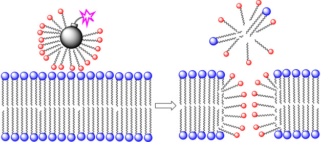 Membrane-Disrupting Molecules as Therapeutic Agents: A Cautionary Note ...