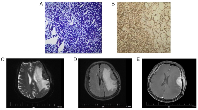 Figure 3.