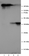 FIG. 5.