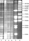 FIG. 4.