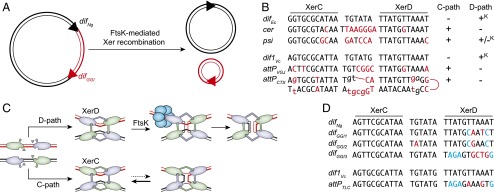 Fig. 1.