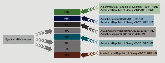 Fig. 1.