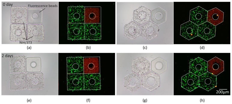 Figure 12