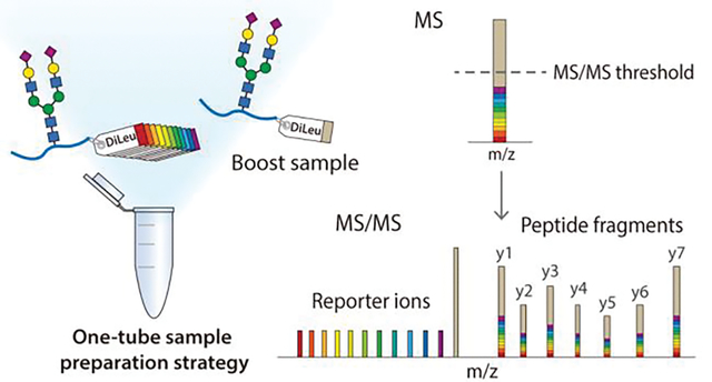 graphic file with name nihms-1865410-f0001.jpg