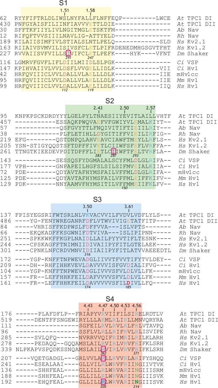 Figure 1—figure supplement 1.