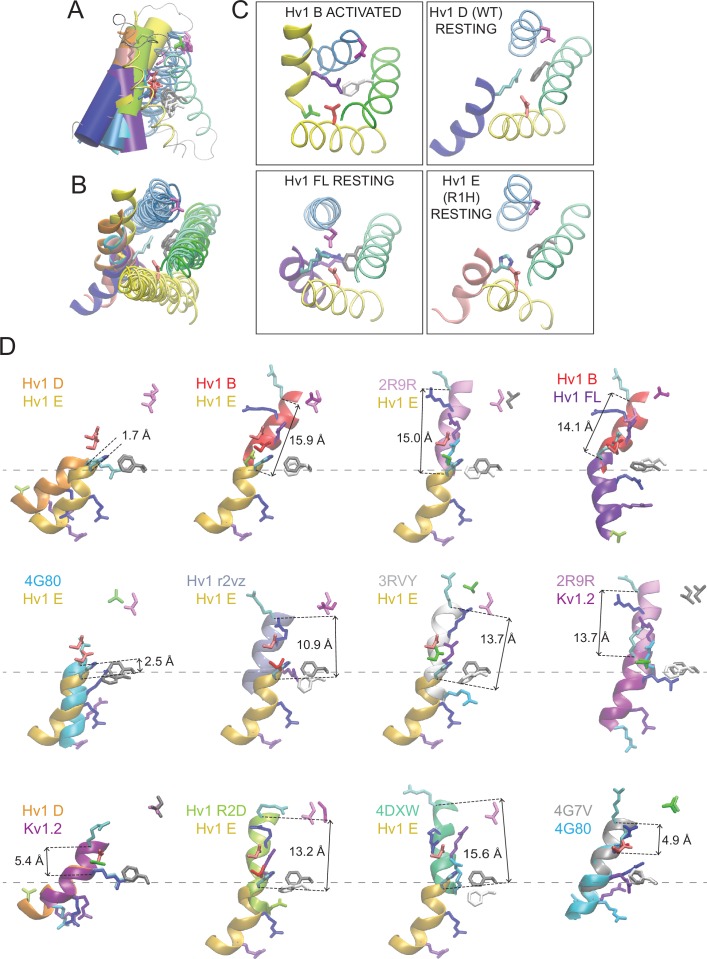 Figure 6—figure supplement 3.