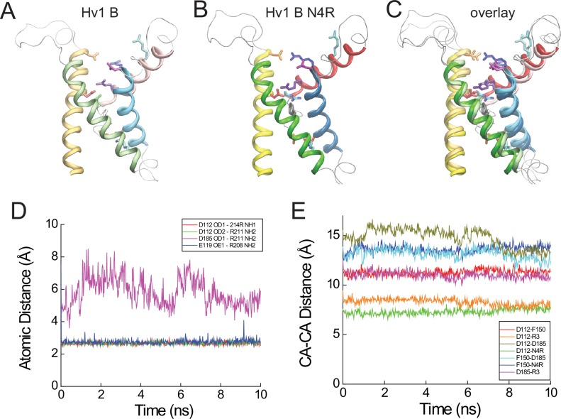 Figure 6—figure supplement 1.