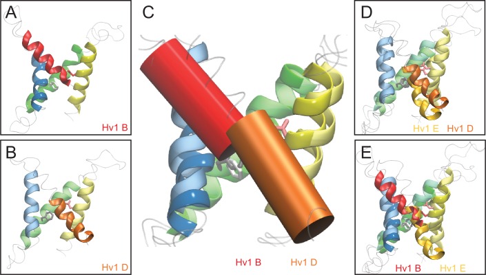 Figure 6—figure supplement 2.