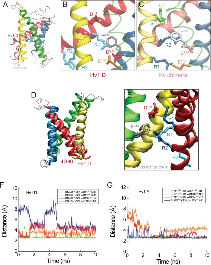 Figure 5—figure supplement 1.