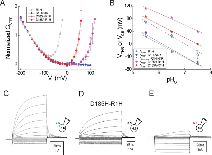 Figure 3—figure supplement 1.