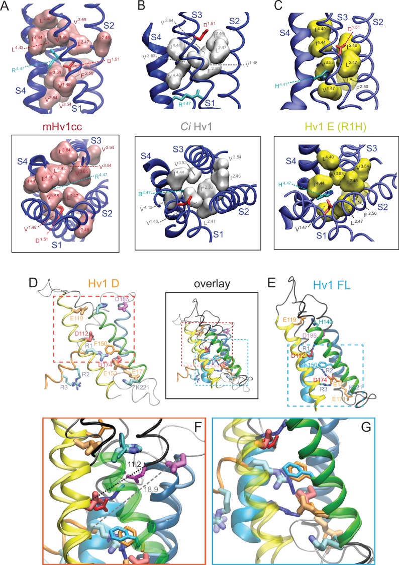 Figure 5—figure supplement 4.