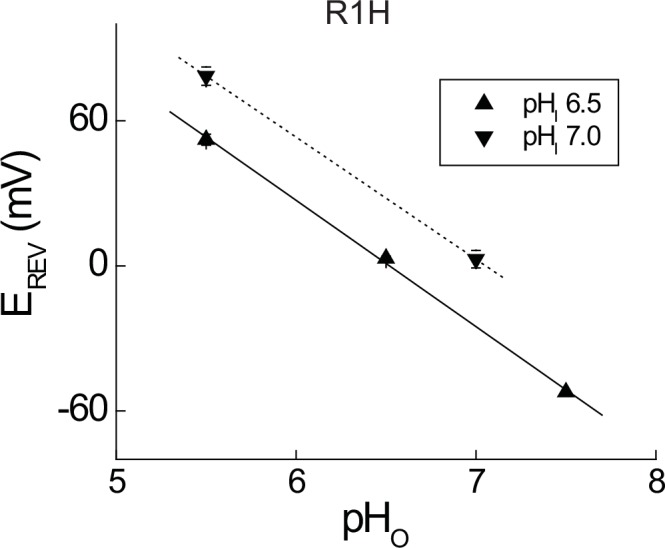 Figure 1—figure supplement 2.