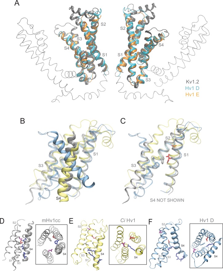 Figure 5—figure supplement 2.