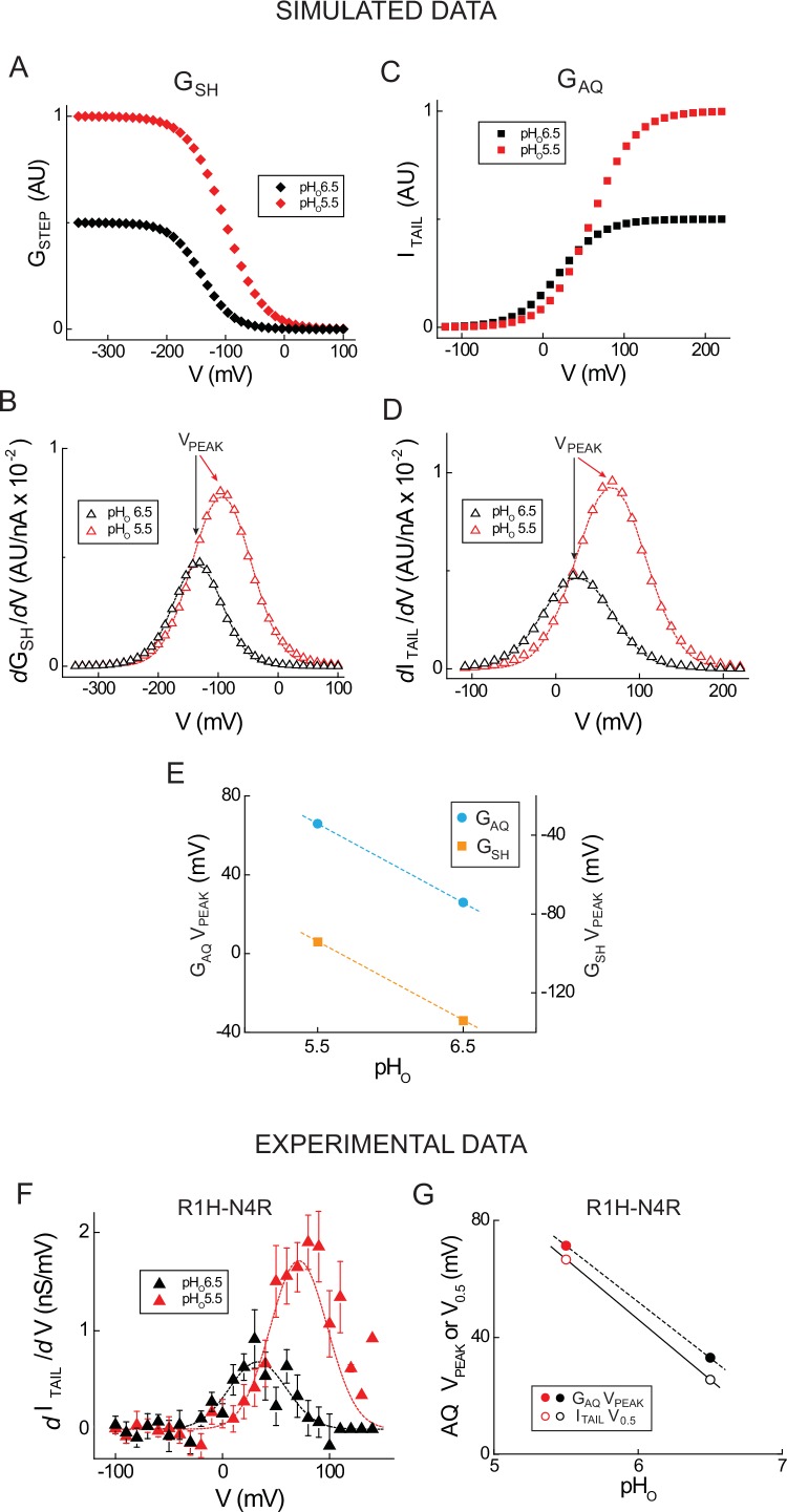 Figure 3—figure supplement 2.