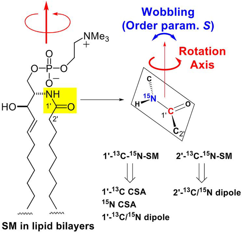 Fig. 15.