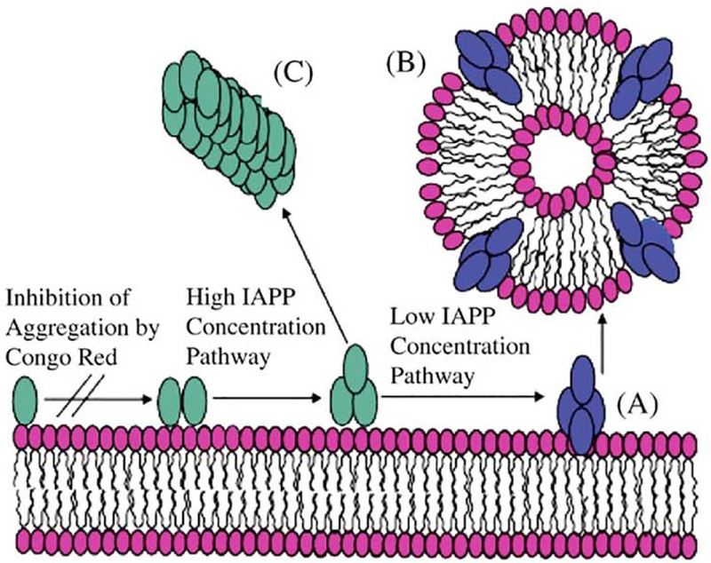 Fig. 10.