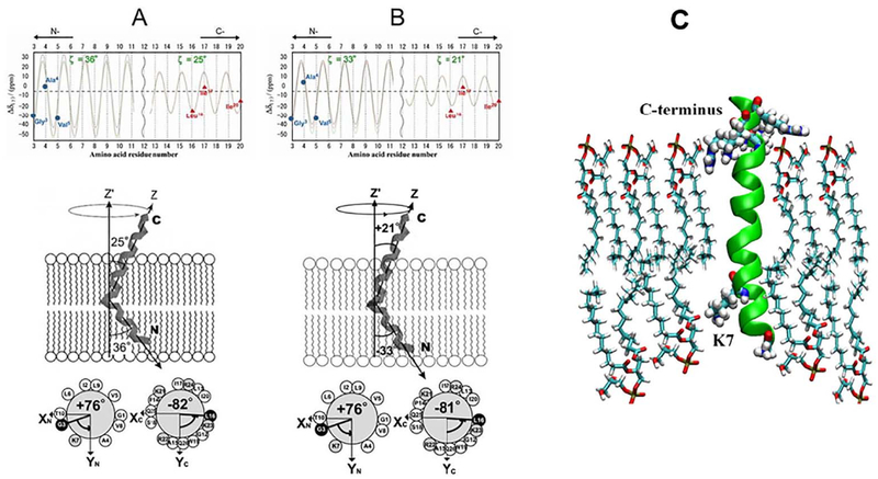 Fig. 7.