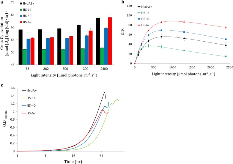 Fig. 2