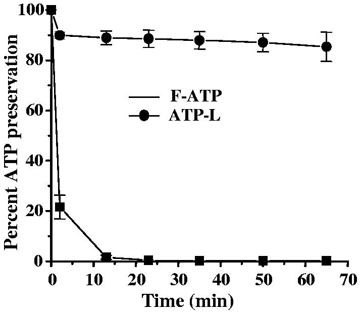 Fig. 5