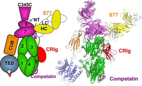 FIGURE 7.