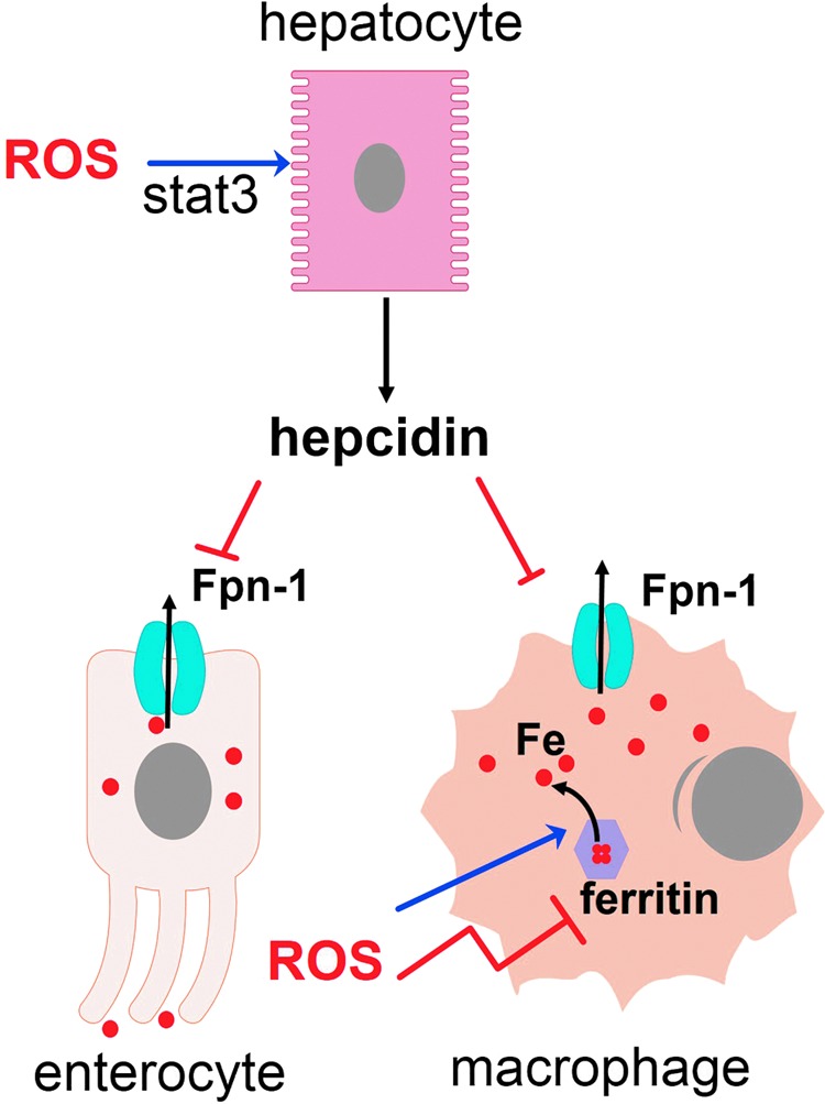 FIG. 9.