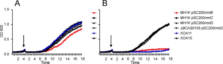 FIGURE 9.