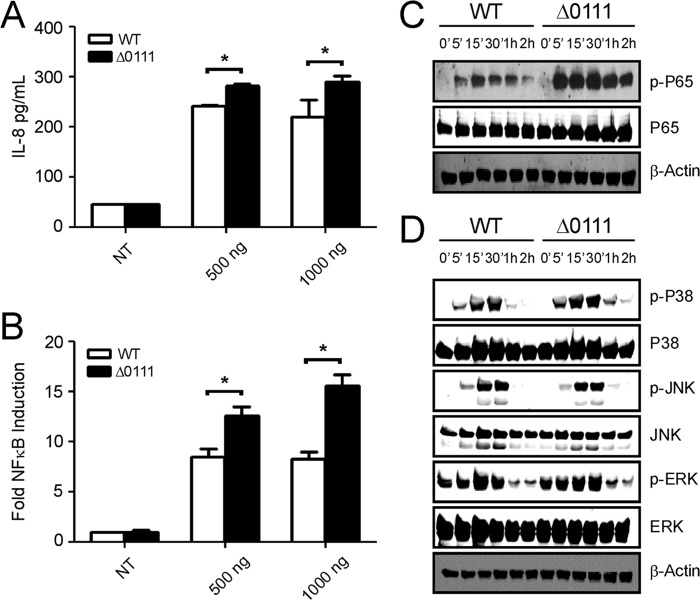 FIGURE 12.