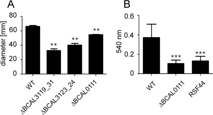 FIGURE 10.