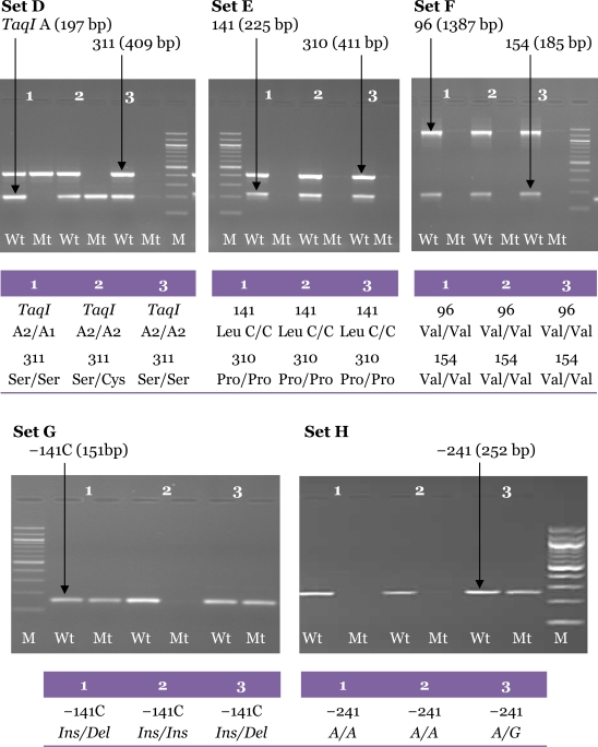 Figure 6: