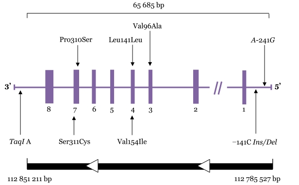 Figure 1: