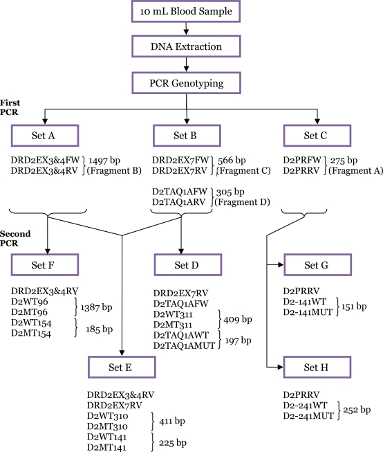 Figure 2: