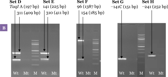 Figure 5: