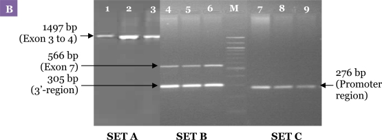 Figure 3: