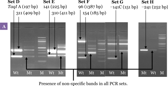 Figure 5: