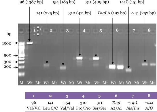 Figure 4: