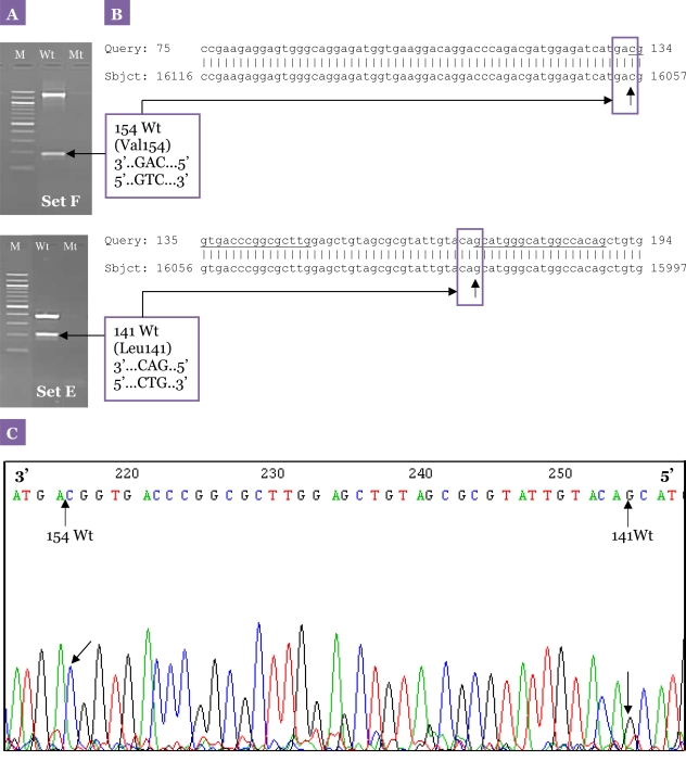 Figure 7: