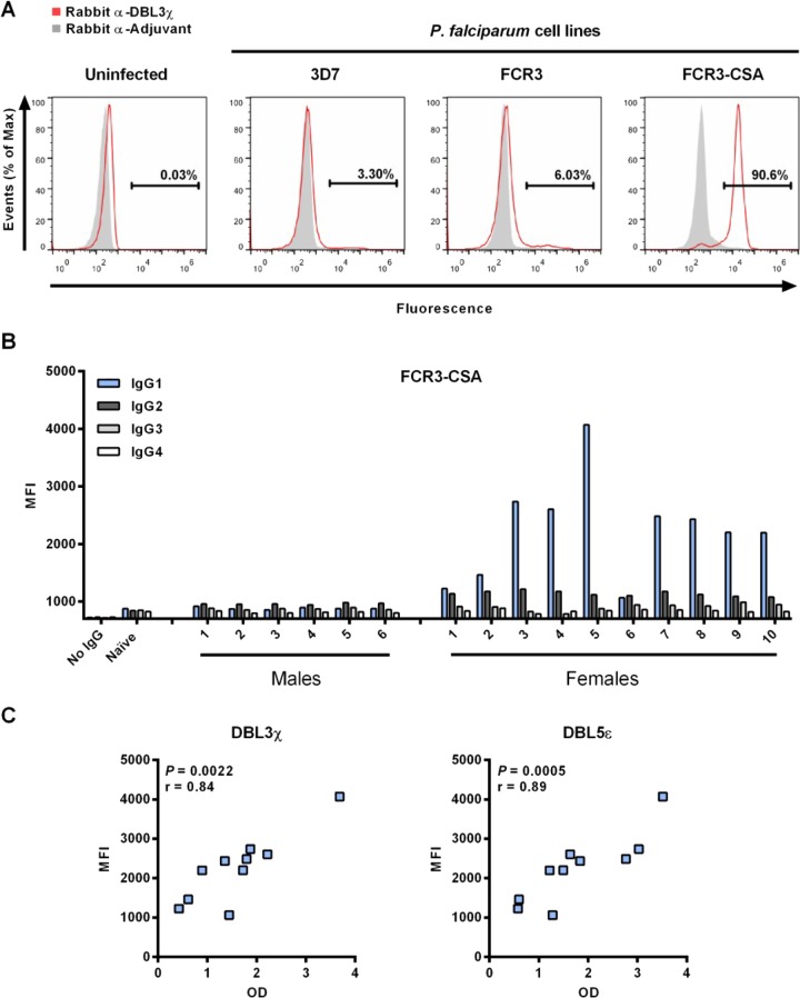 FIG 2