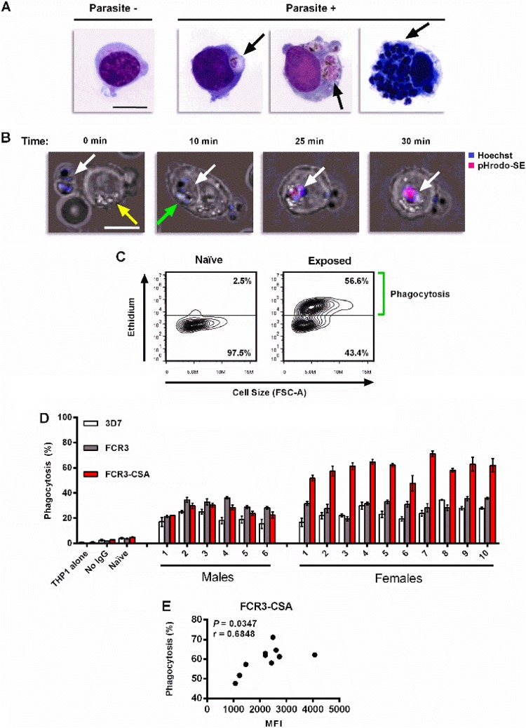 FIG 3