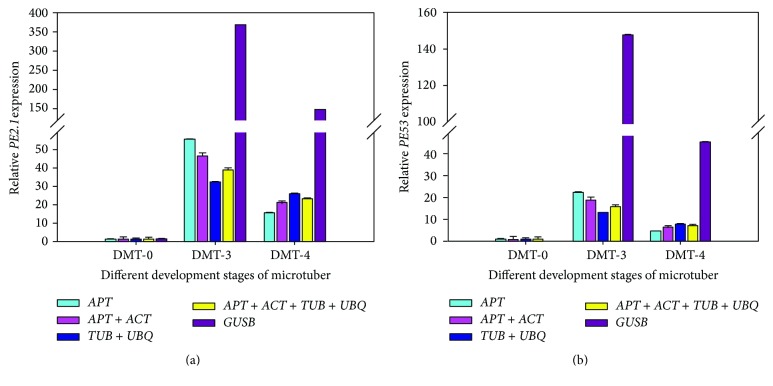 Figure 5