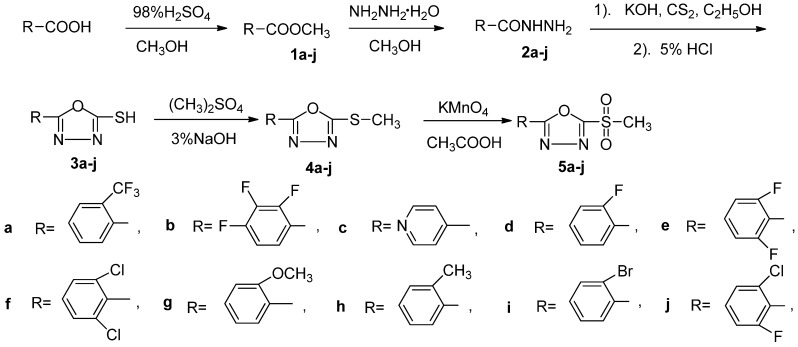 Scheme 1