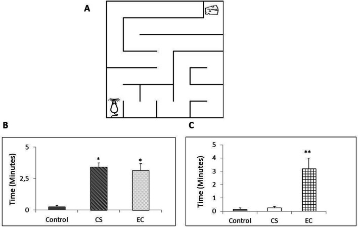 Fig. 3