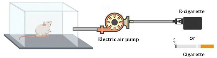 Fig. 1