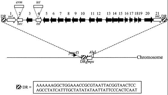 FIG. 3