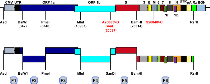 Figure 1