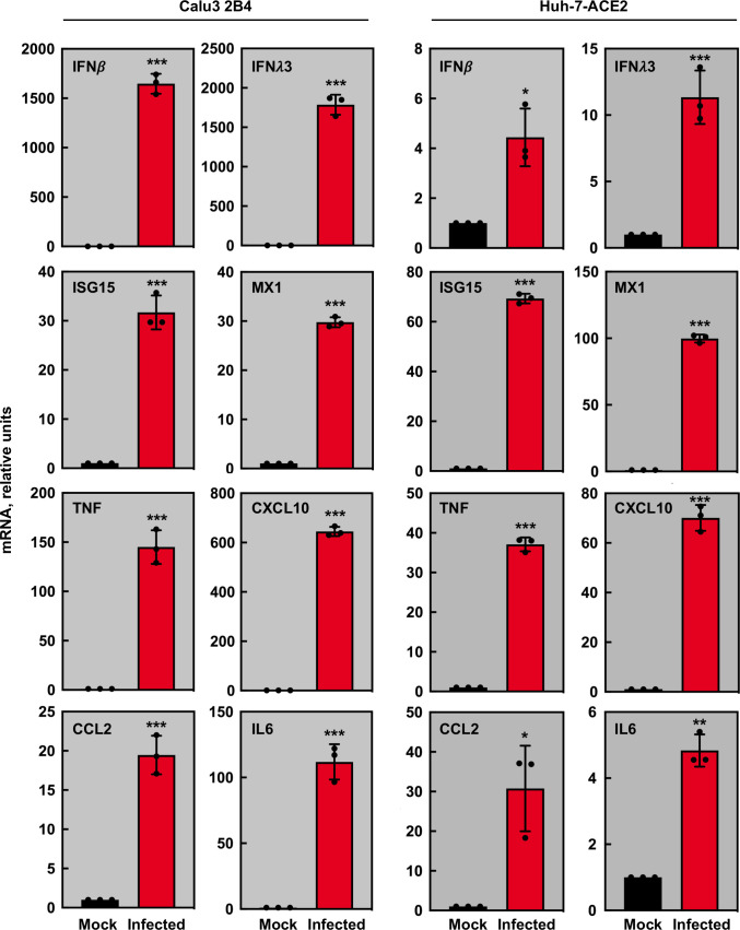 Figure 6