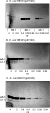 FIGURE 5.