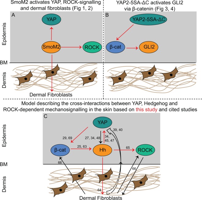 Fig 6