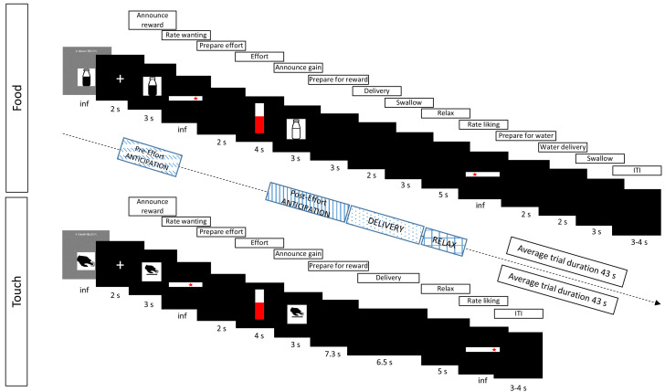 Figure 1—figure supplement 1.