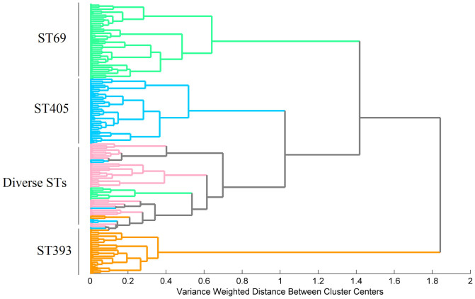 Figure 7