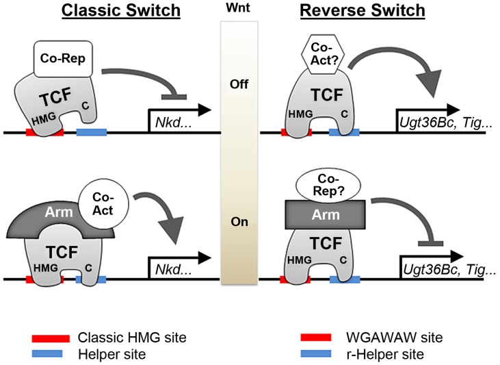 Figure 13